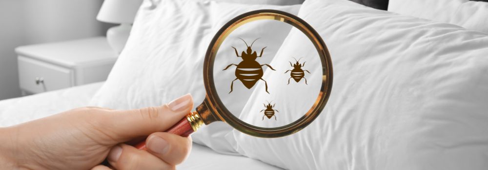 Your Pillow Might Be Making You Sick… The Hidden Dangers of Synthetic Bedding - Aloha Relax