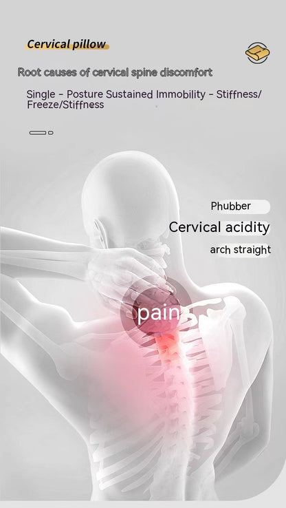 An illustration of the human spine highlights pain in the neck and upper back. Text overlays discuss causes of discomfort, such as poor posture and immobility, with labels like "Cervical acidity" and "pain." The Neck Memory Home Sleep Pillow by Aloha Relax is recommended for alleviating these issues.